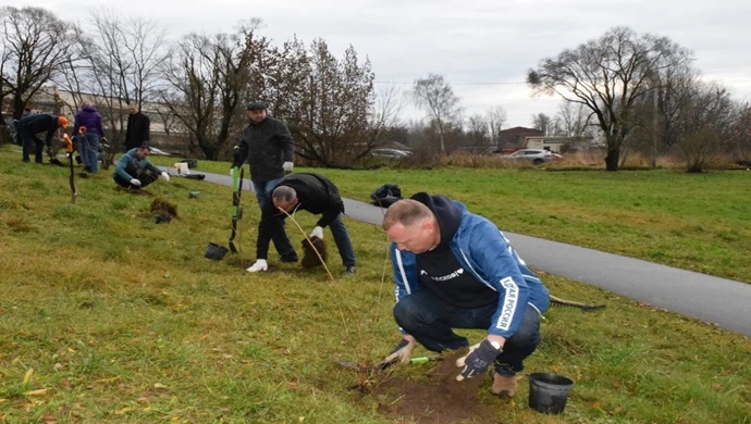 Birleşik Rusya, Pskov ve Volnovakha’da çalı ve çiçek dikimi etkinlikleri düzenledi